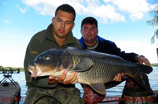 crapi tancabesti - 1007492g.jpg